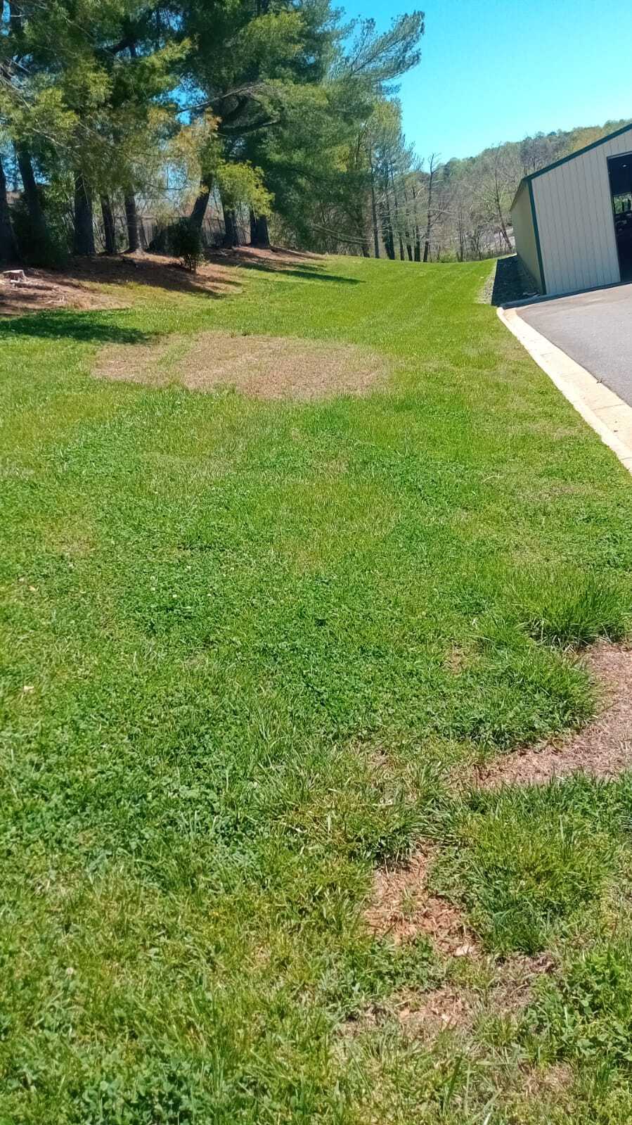 Alvarado Landscaping Image